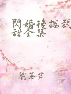 闪婚后总裁娇妻甜全集