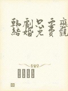 韩剧只要恋爱不结婚免费观看