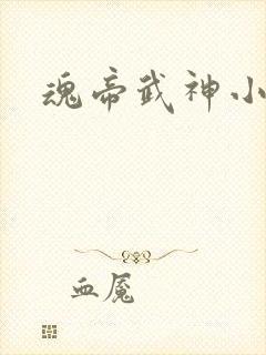 魂帝武神小小八
