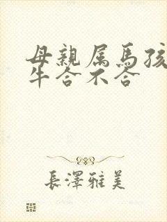 母亲属马孩子属牛合不合