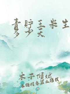 青贮玉米生长期多少天
