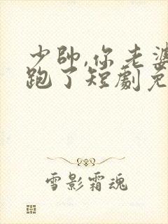 少帅,你老婆又跑了短剧免费看