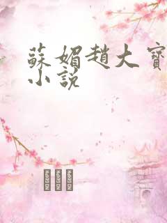 苏媚赵大宝赵勇小说