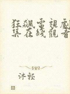 狂飙电视剧40集在线观看免费星辰影视