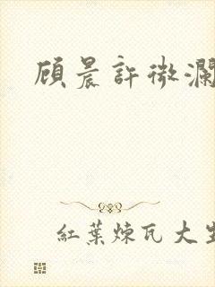 顾晨许微澜小说