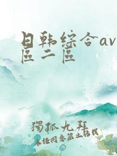 日韩综合av一区二区