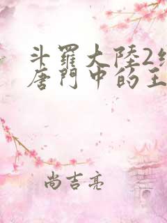 斗罗大陆2绝世唐门中的王冬
