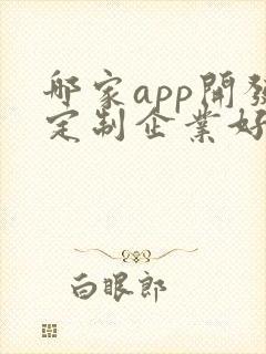哪家app开发定制企业好