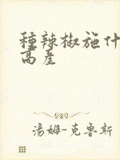 种辣椒施什么肥高产