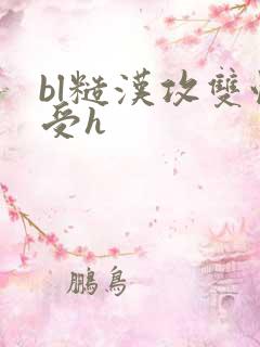 bl糙汉攻双性受h