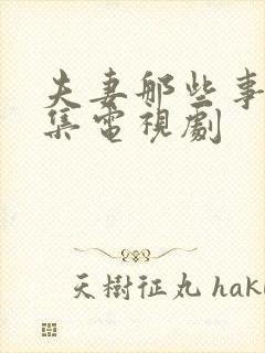 夫妻那些事共几集电视剧