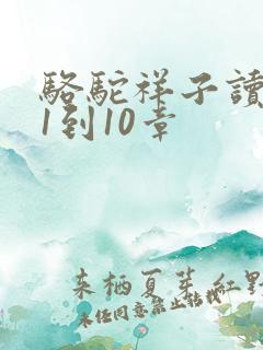 骆驼祥子读后感1到10章