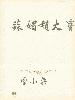 苏媚赵大宝赵勇
