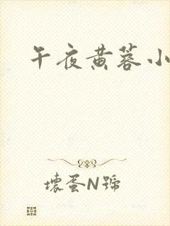午夜黄蓉小说