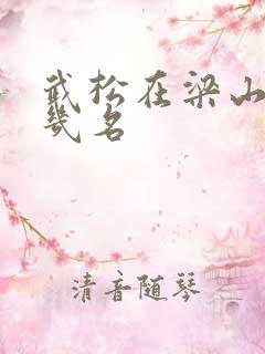 武松在梁山排第几名