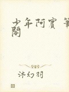 少年阿宾 笔趣阁