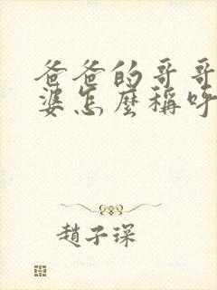 爸爸的哥哥的老婆怎么称呼