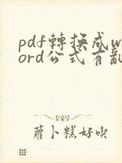 pdf转换成word公式有乱码