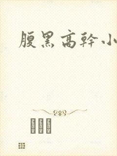 腹黑高干小说