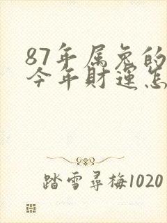 87年属兔的人今年财运怎么样