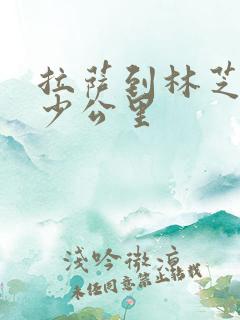 拉萨到林芝市多少公里