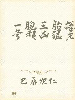 一胞三胎总裁爹爹超凶猛免费阅读完结