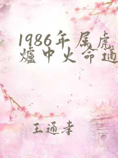 1986年属虎炉中火命适合做什么生意