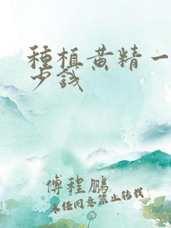 种植黄精一亩多少钱