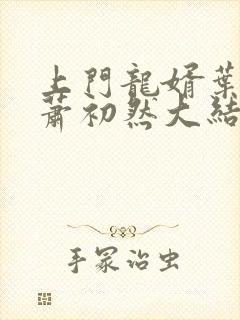 上门龙婿叶辰,萧初然大结局