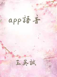 app语音