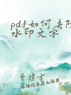 pdf如何去除水印文字