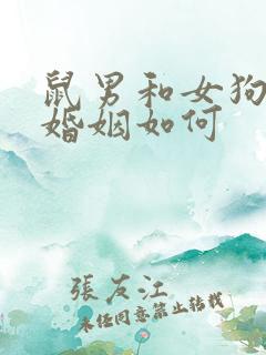 鼠男和女狗相配婚姻如何