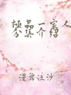 极品一家人剧情分集介绍