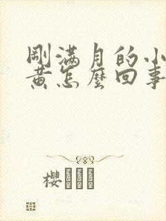 刚满月的小狗尿黄怎么回事