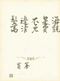 鬓边不是海棠红高清免费观看