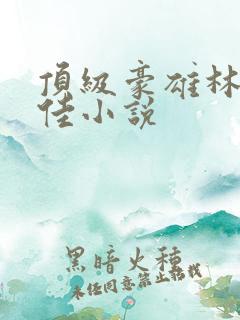顶级豪雄林铭陈佳小说