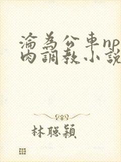 沦为公车np纯肉调教小说推荐