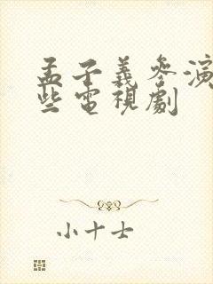 孟子义参演了哪些电视剧
