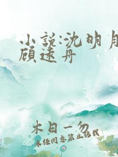 小说:沈明月,顾远舟