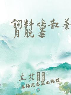 饲料鸡散养几个月脱毒