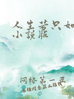 人生若只如初见小说版