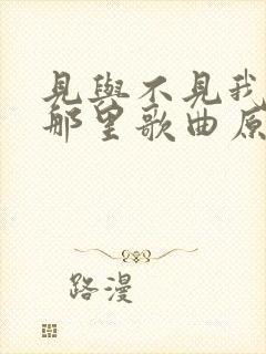 见与不见我都在那里歌曲原唱视频