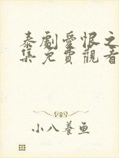 泰剧爱恨之火全集免费观看