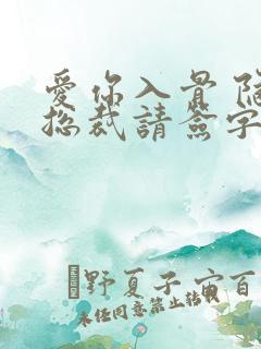 爱你入骨 隐婚总裁请签字