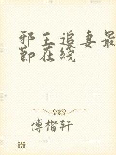 邪王追妻最新章节在线