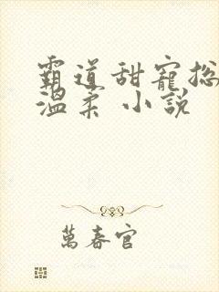 霸道甜宠总裁请温柔 小说