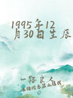 1995年12月30日生辰八字