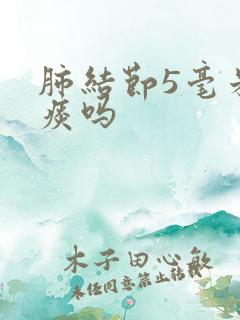 肺结节5毫米有痰吗