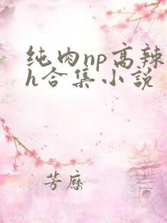 纯肉np高辣文h合集小说