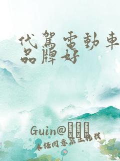 代驾电动车哪个品牌好